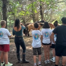 Journée avec les animaux !